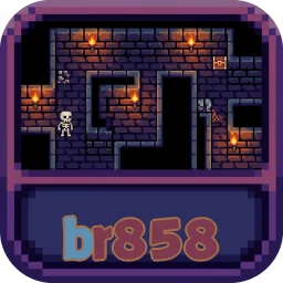br858