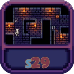 s29